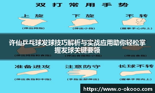 许仙乒乓球发球技巧解析与实战应用助你轻松掌握发球关键要领